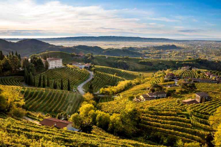 Galleria panoramica